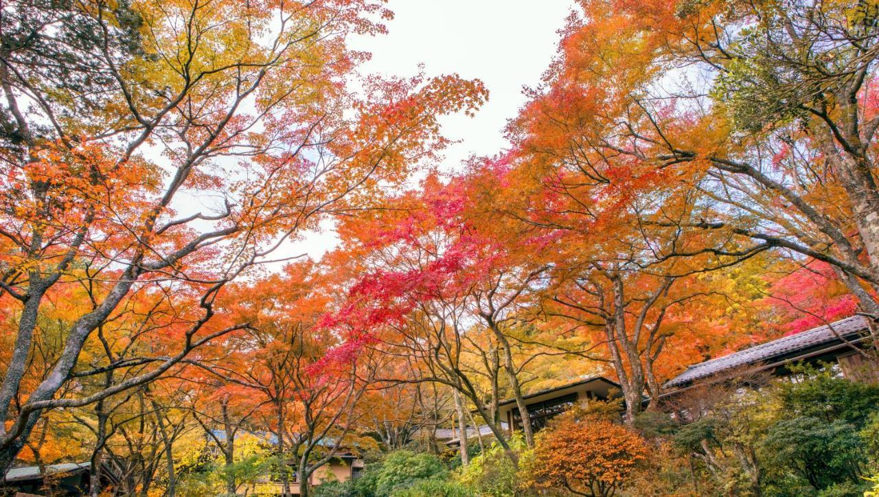 Gora Kansuiro Hakone Zewnętrze zdjęcie